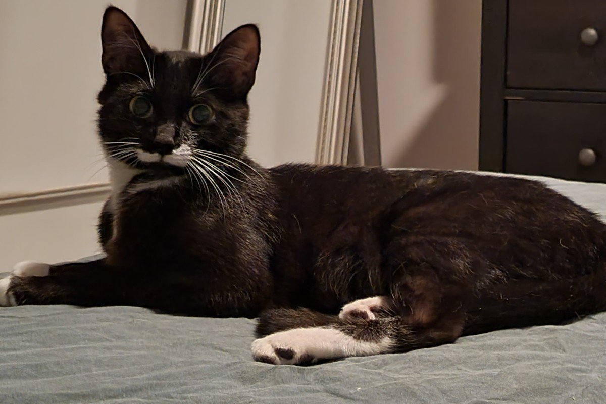 Cleo