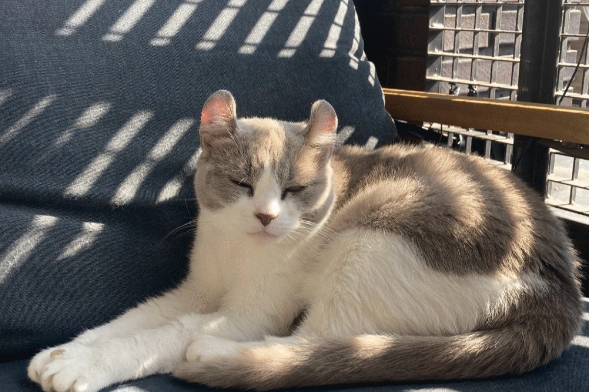 Missy