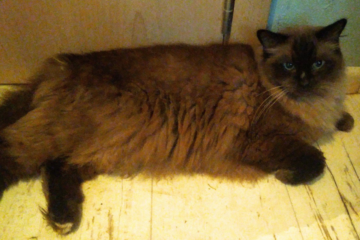 Olly B. Bommel is gereserveerd