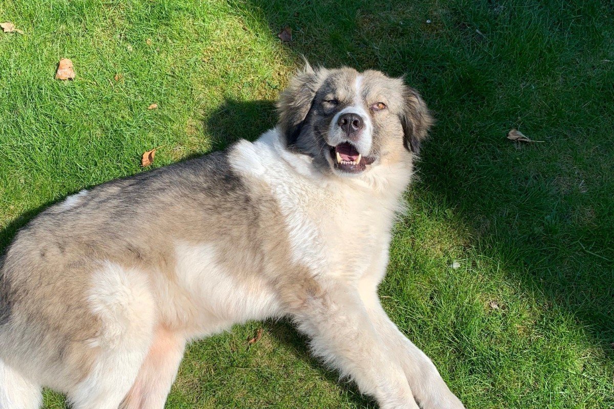 Luna