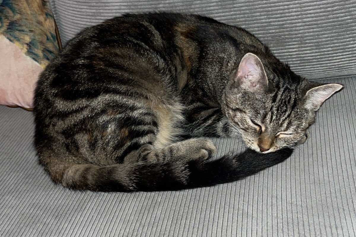 Nella