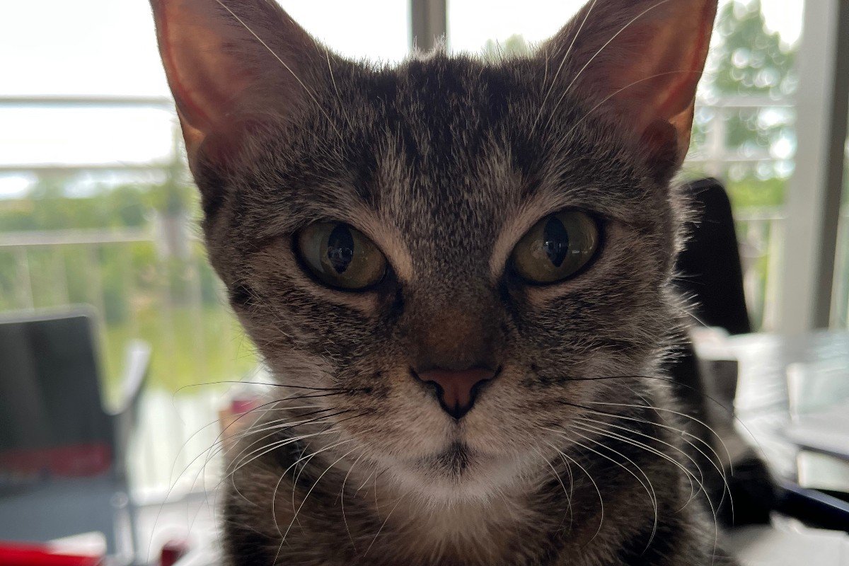 Nella