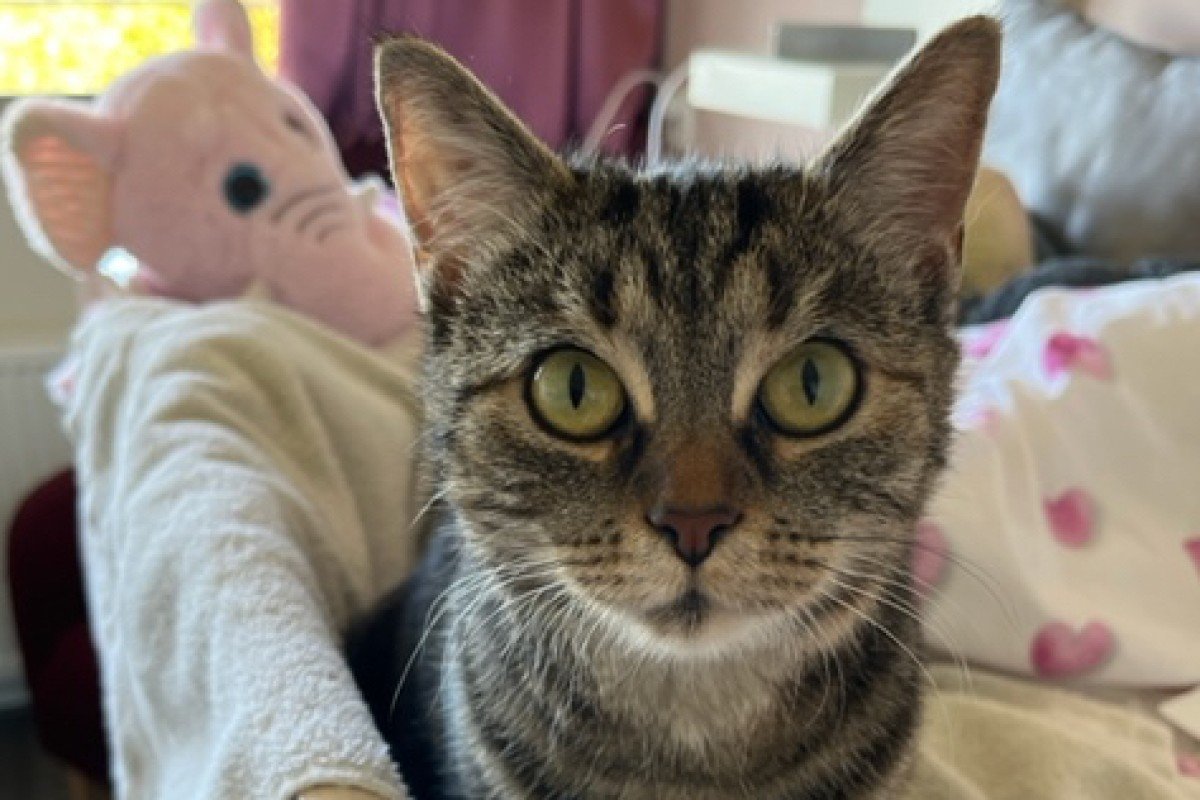 Nella