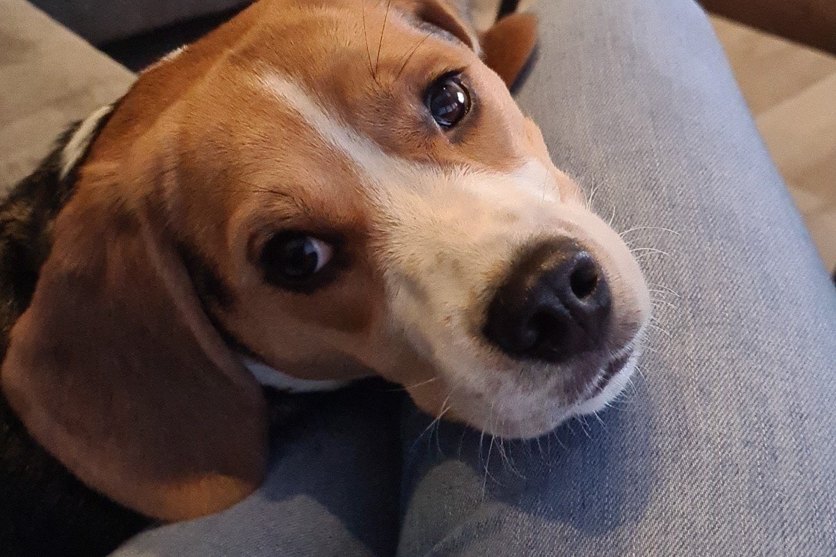 Molly