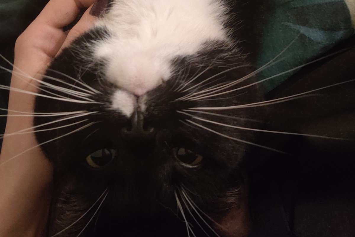Jack