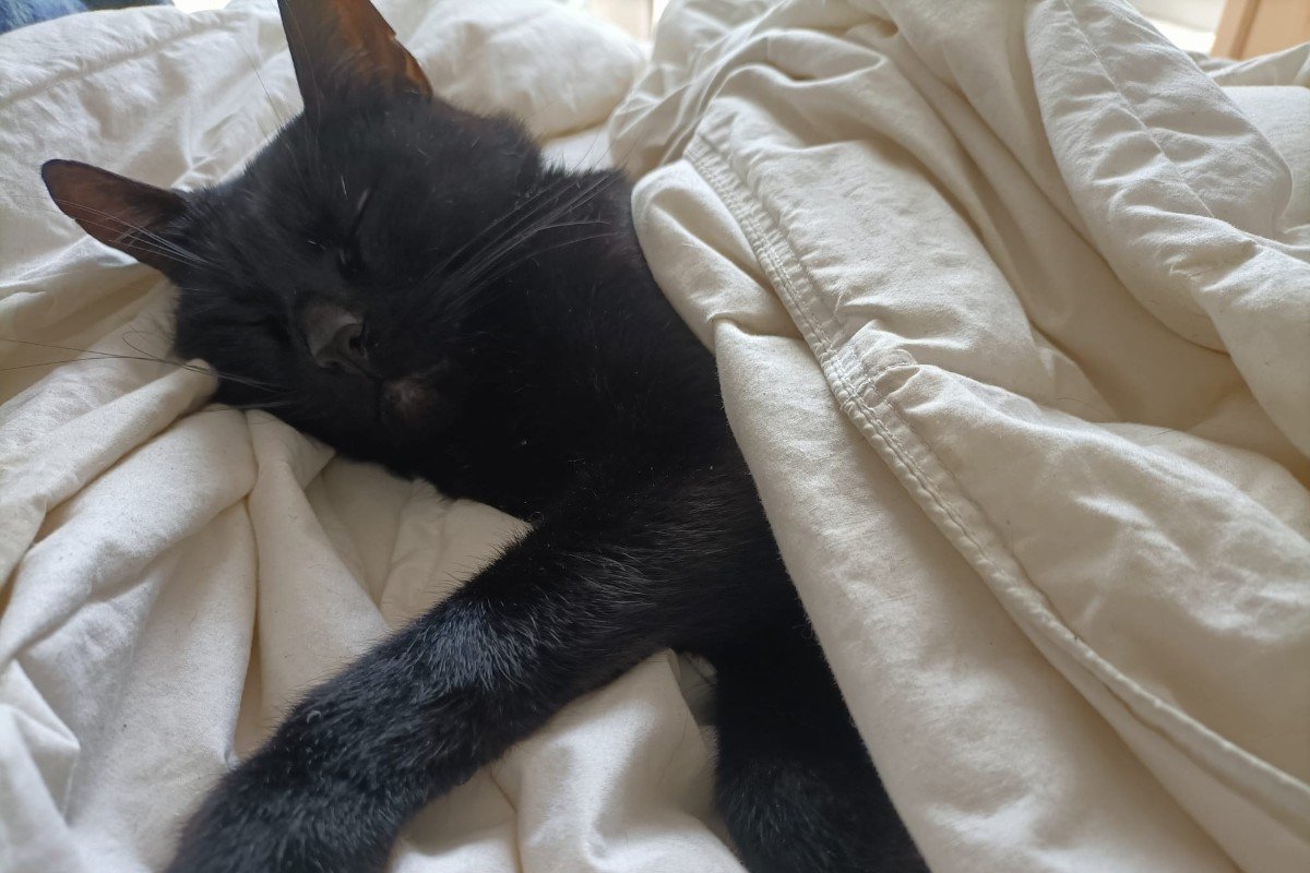 Lucifer