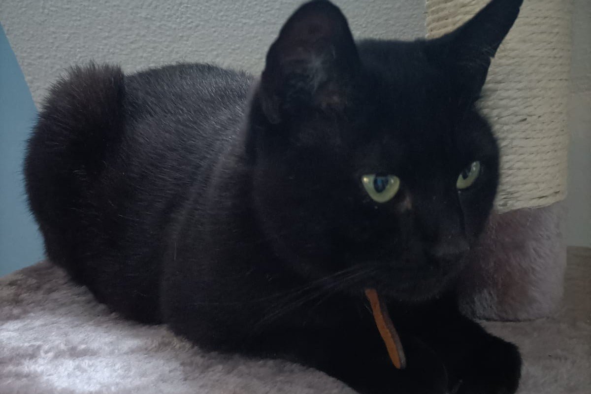 Lucifer