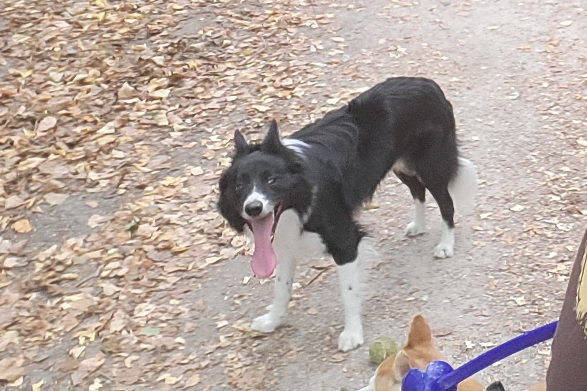 Marley