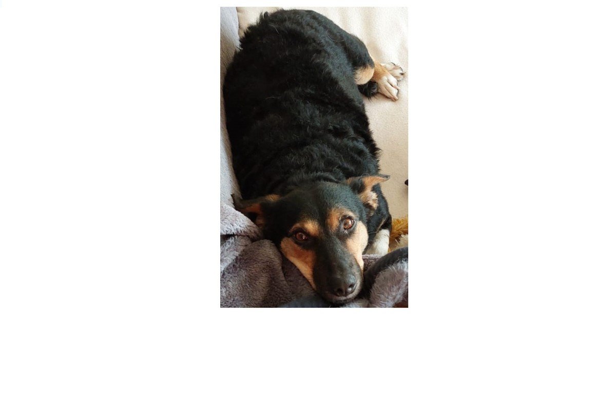 Maya