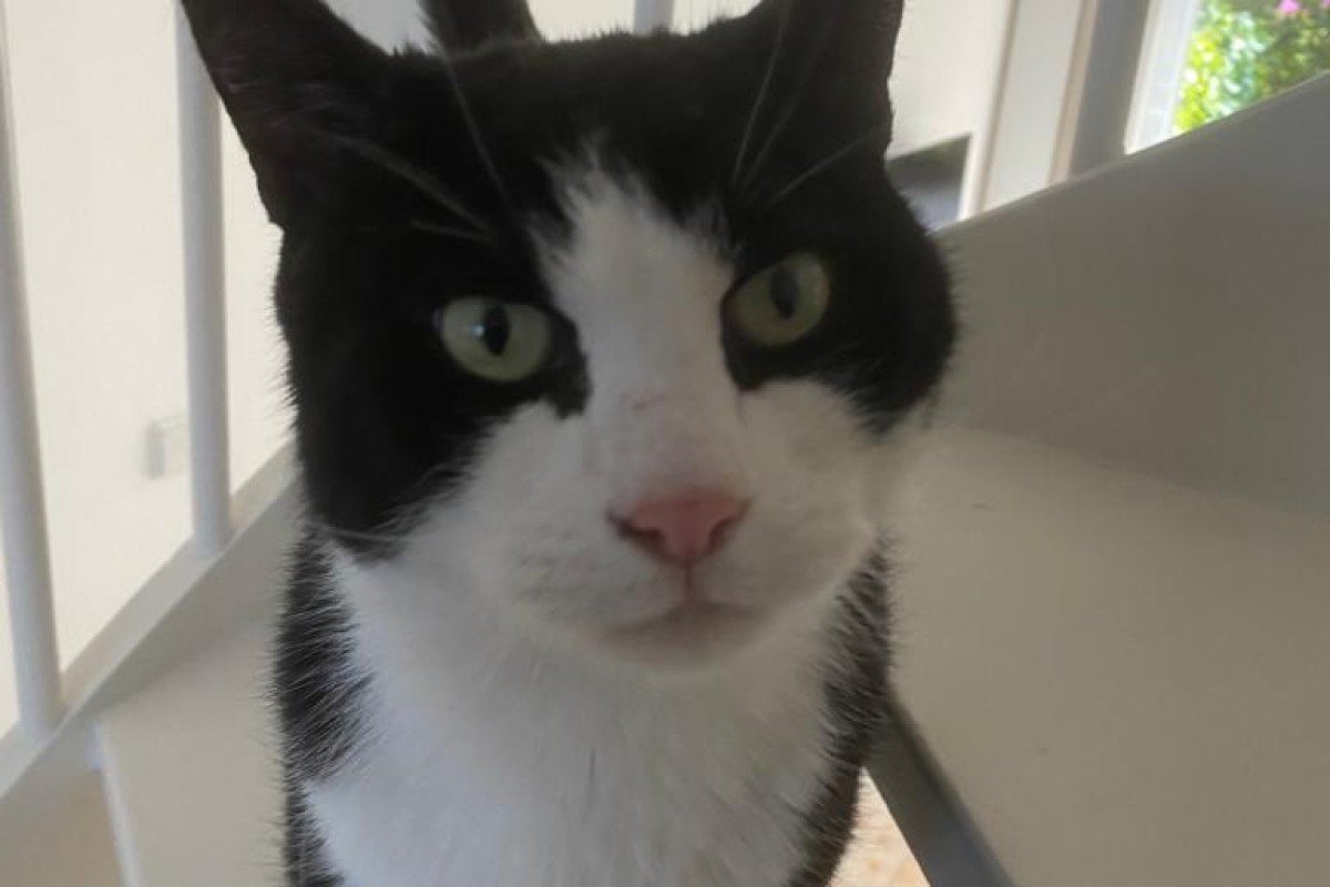 Felix