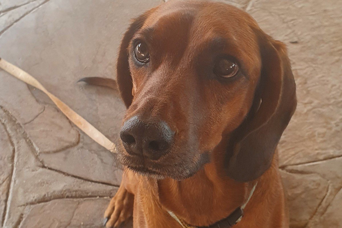 Bella