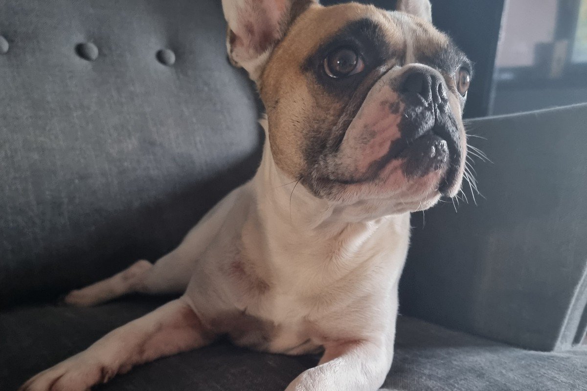 Jax