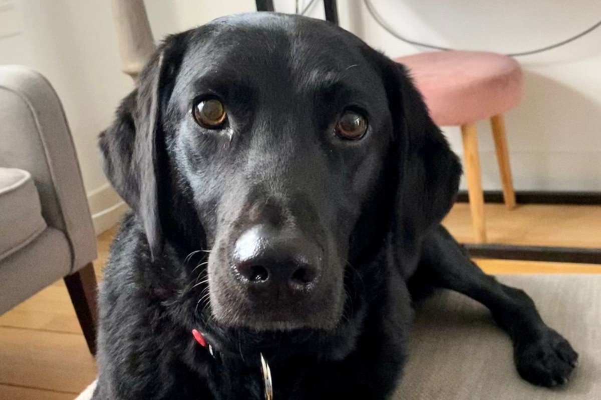 Hugo