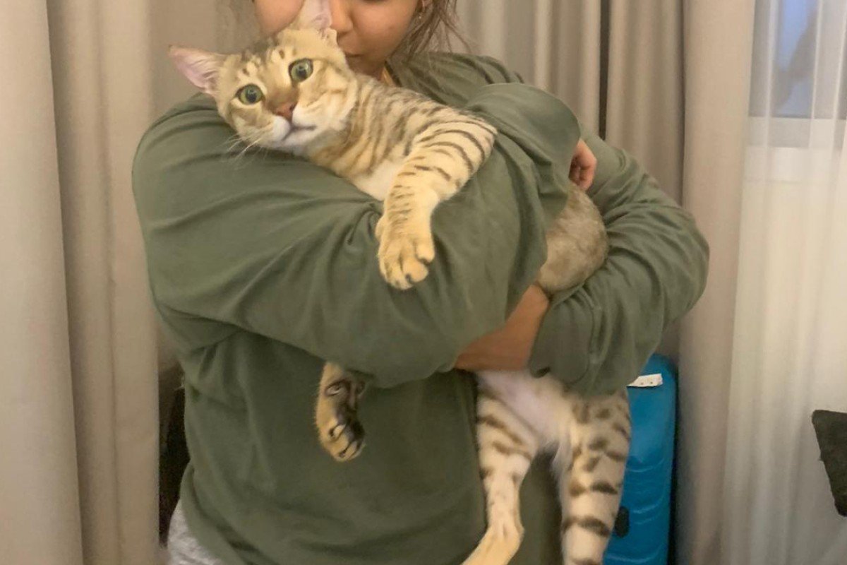 Mr Olive
