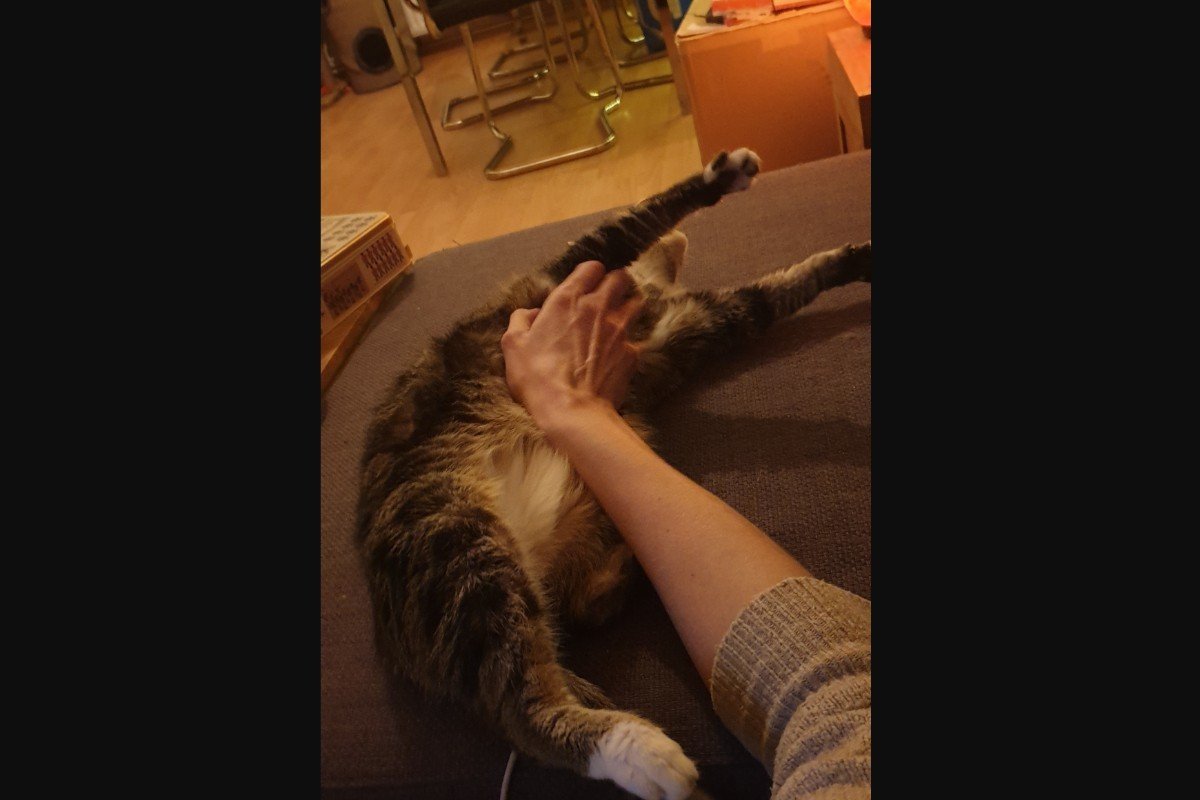 Kahlua