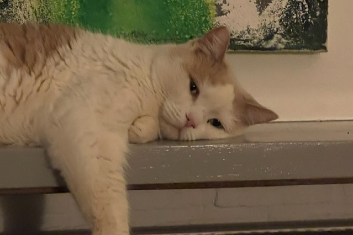Thaiko
