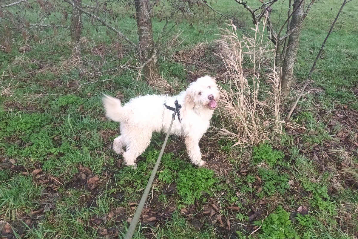 Milo