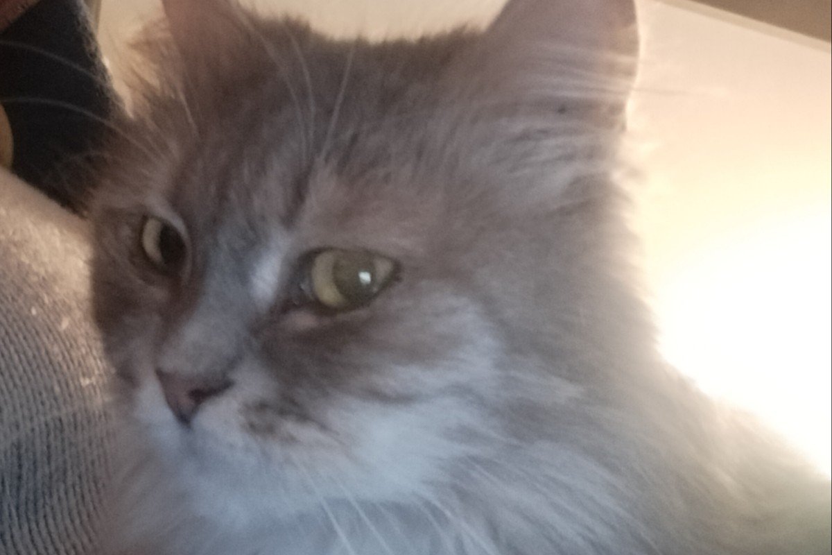 Abby