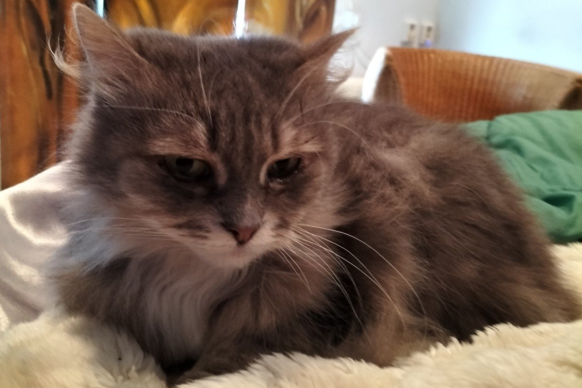 Abby