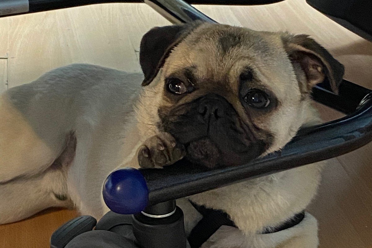 Paco