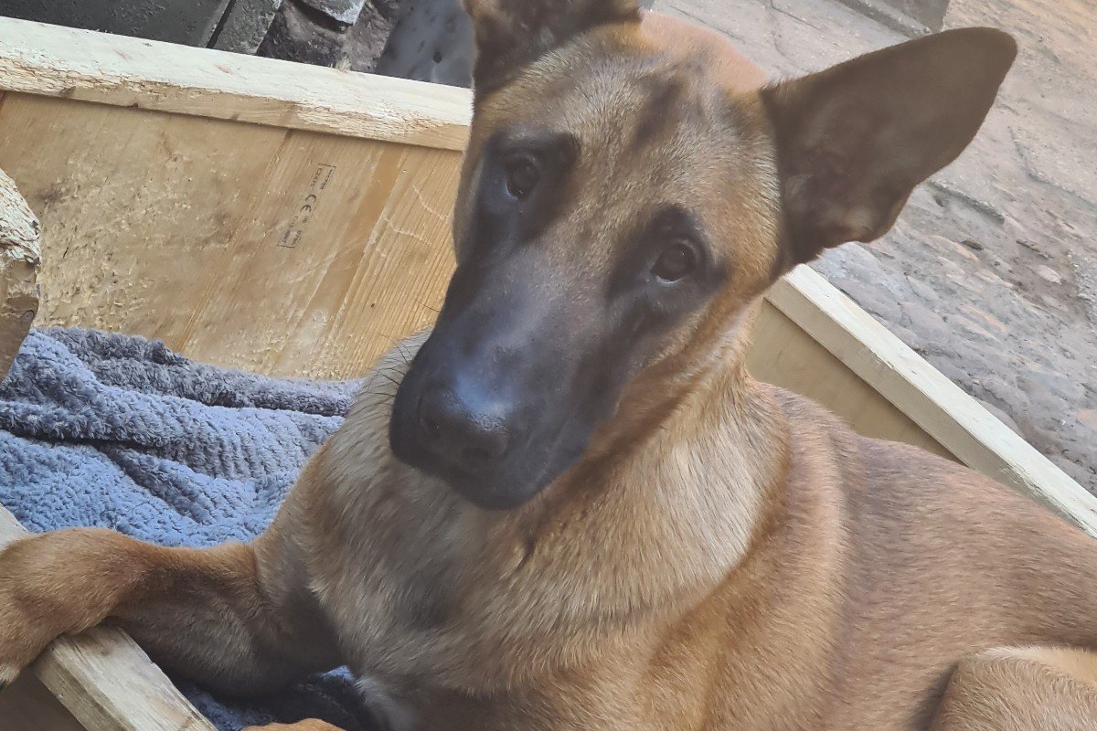 Jax