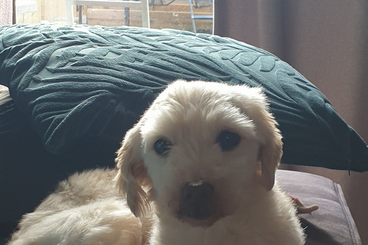 Billy