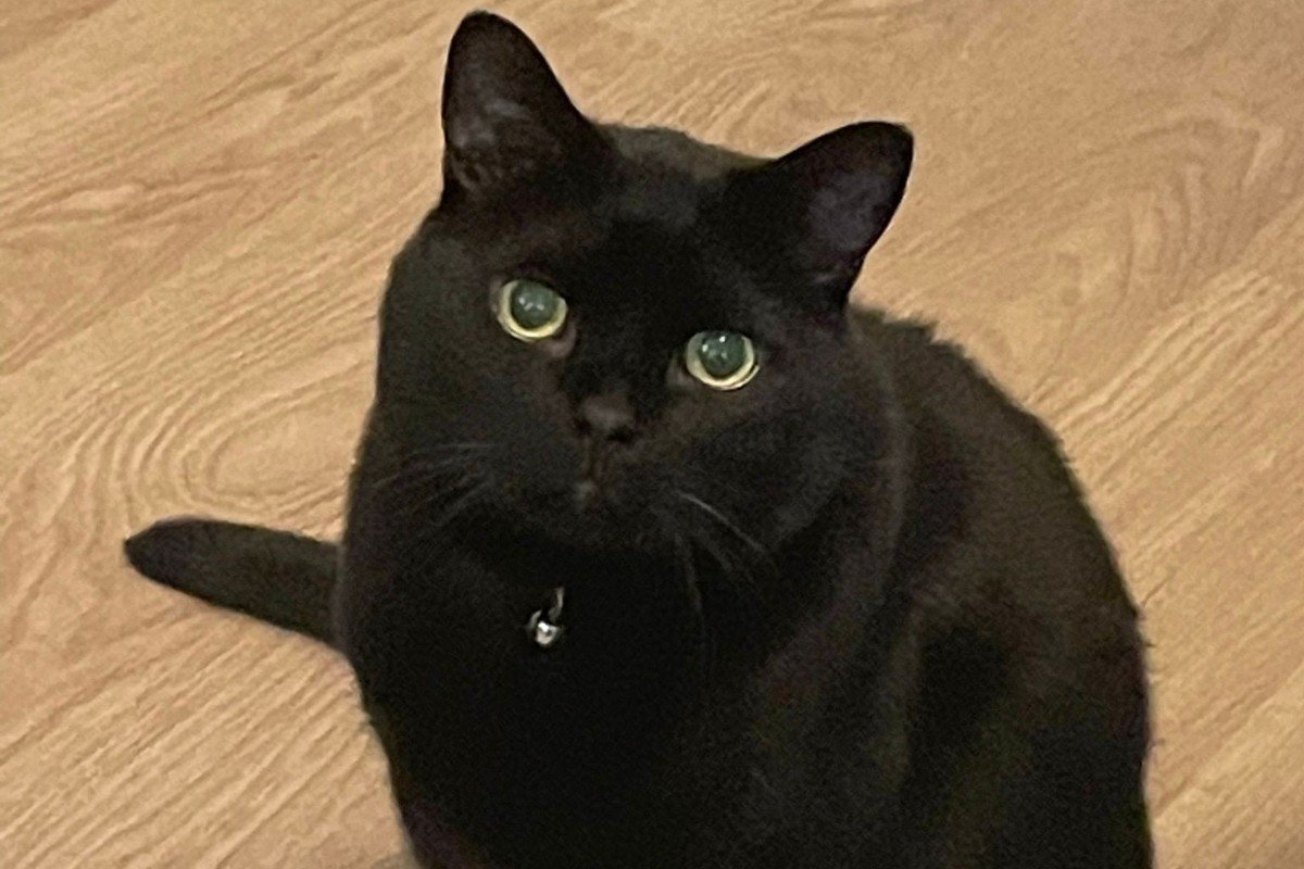 Remy