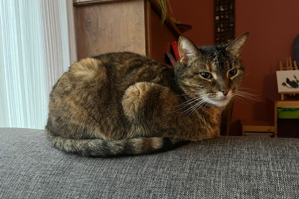 Pippa