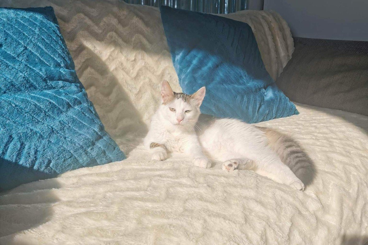 Max
