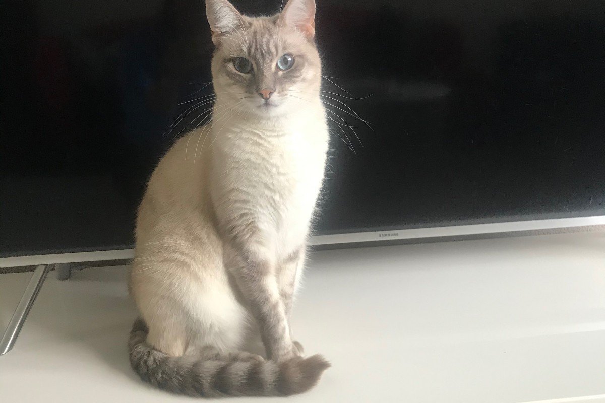 Nala