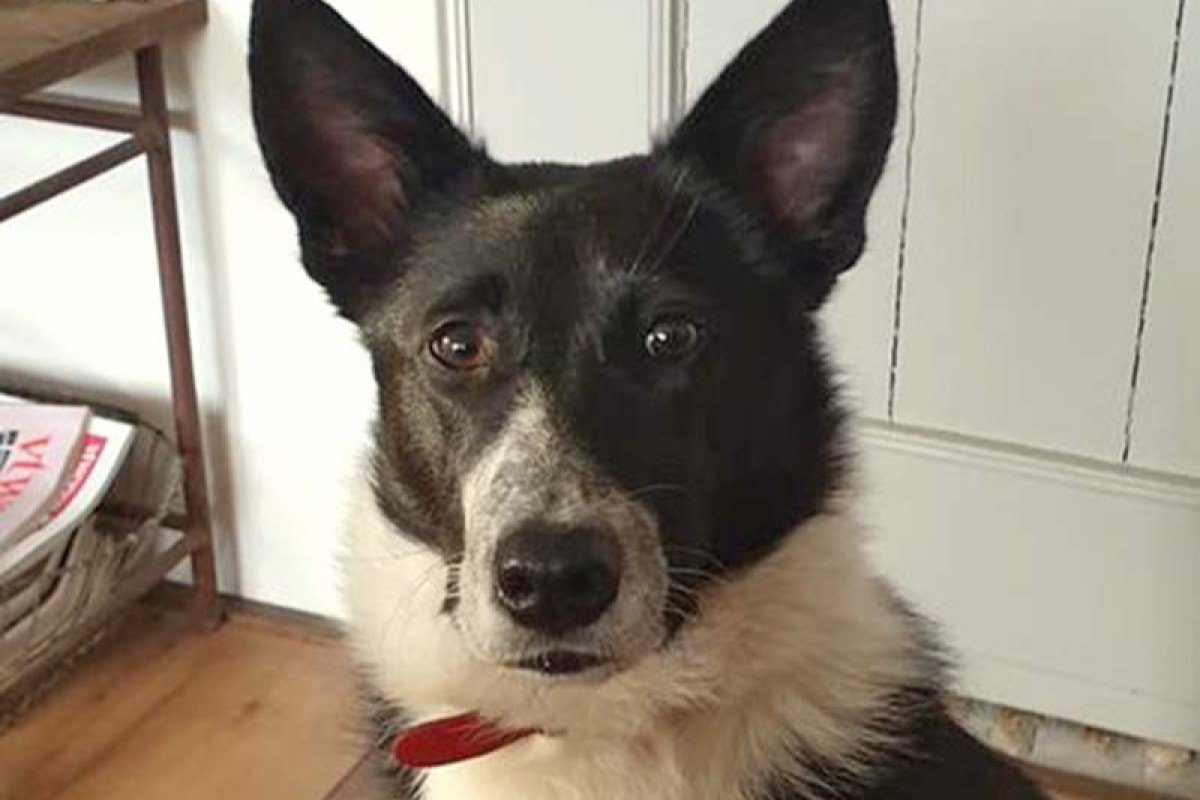 Kiki
