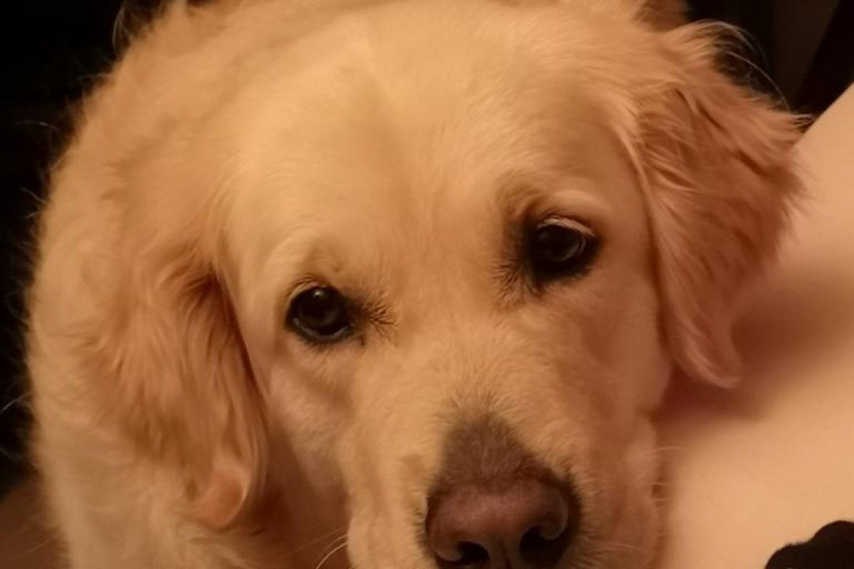 Lucy