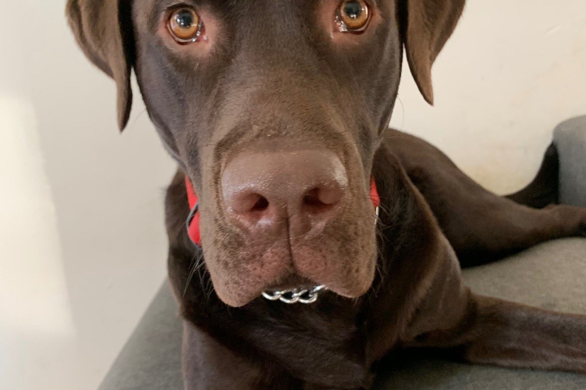 Barry