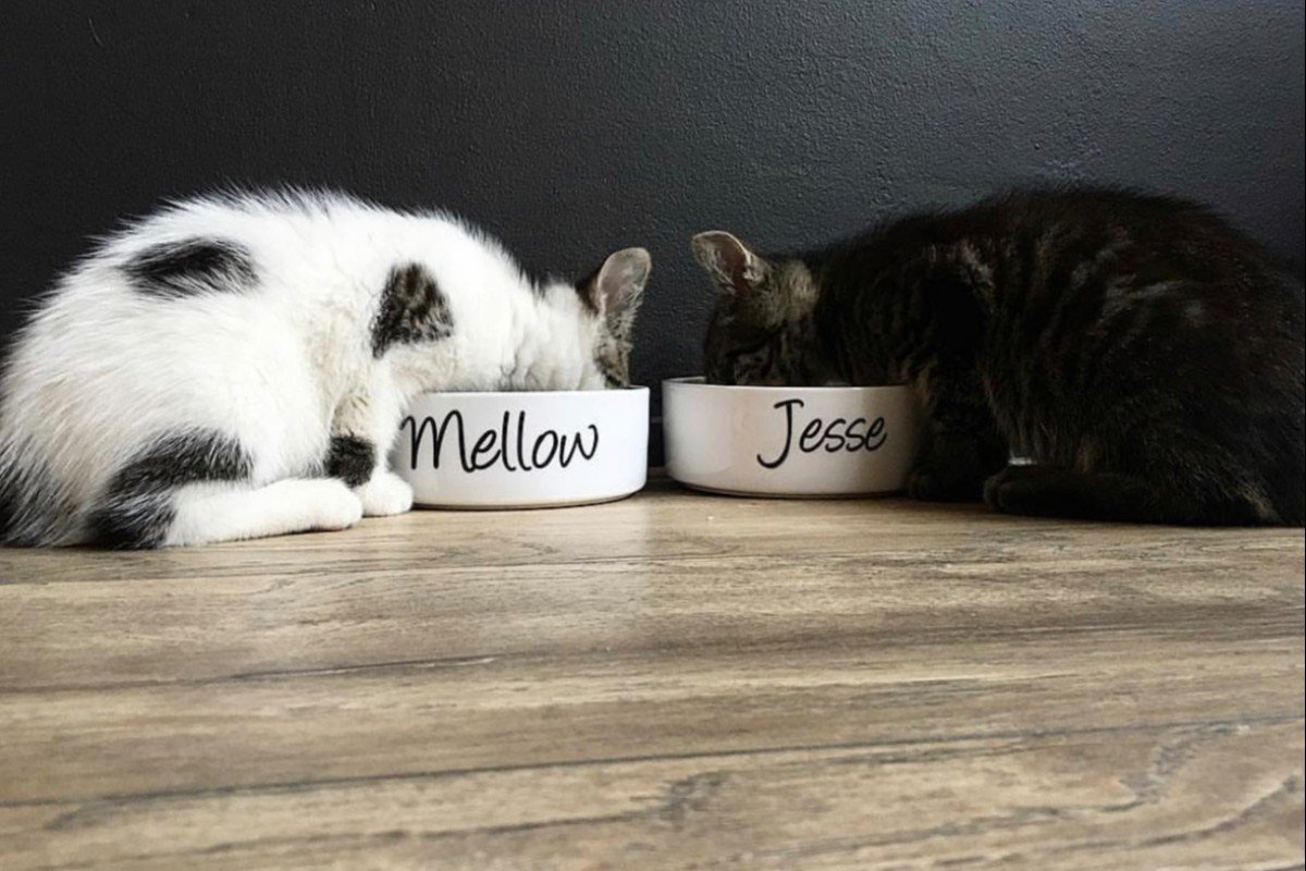 Mellow