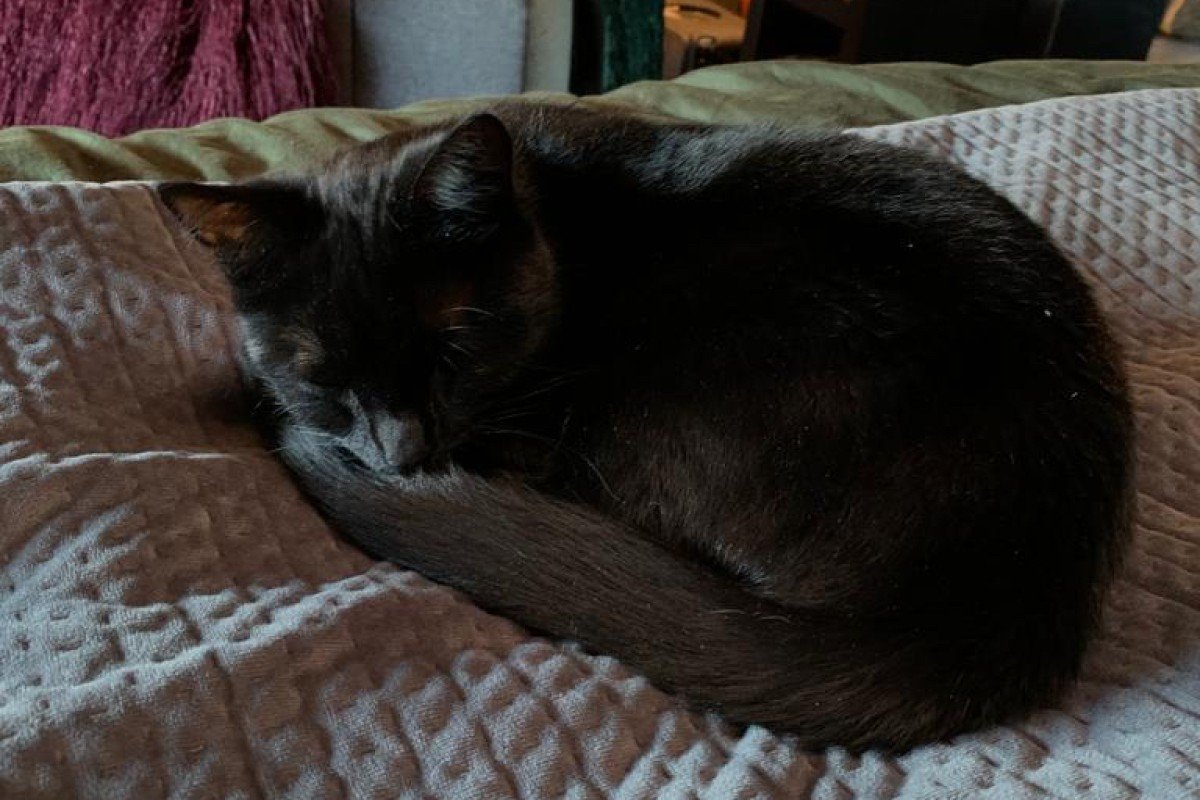 Onyx