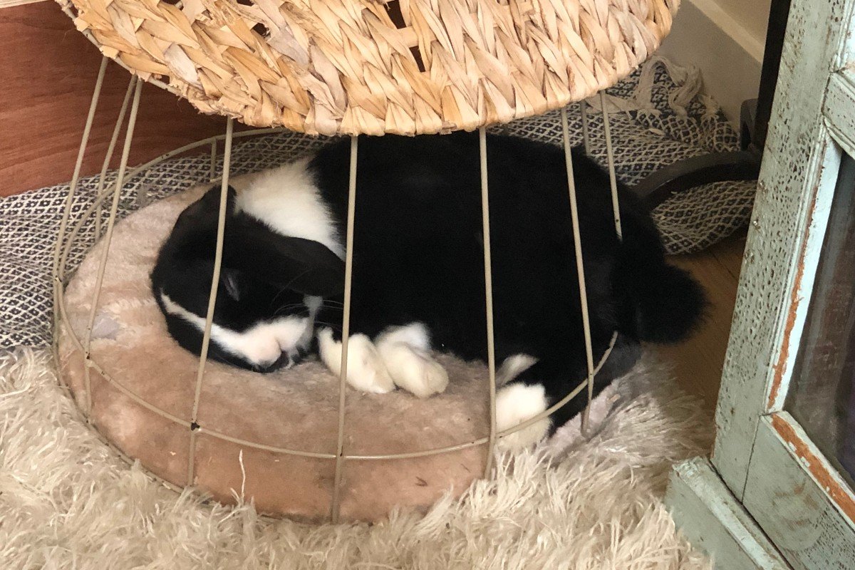 Paco