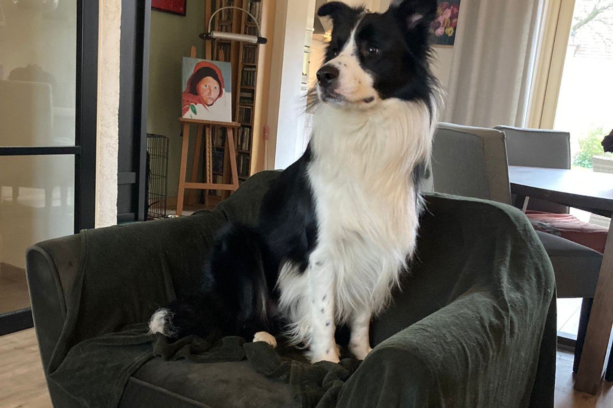 Logan