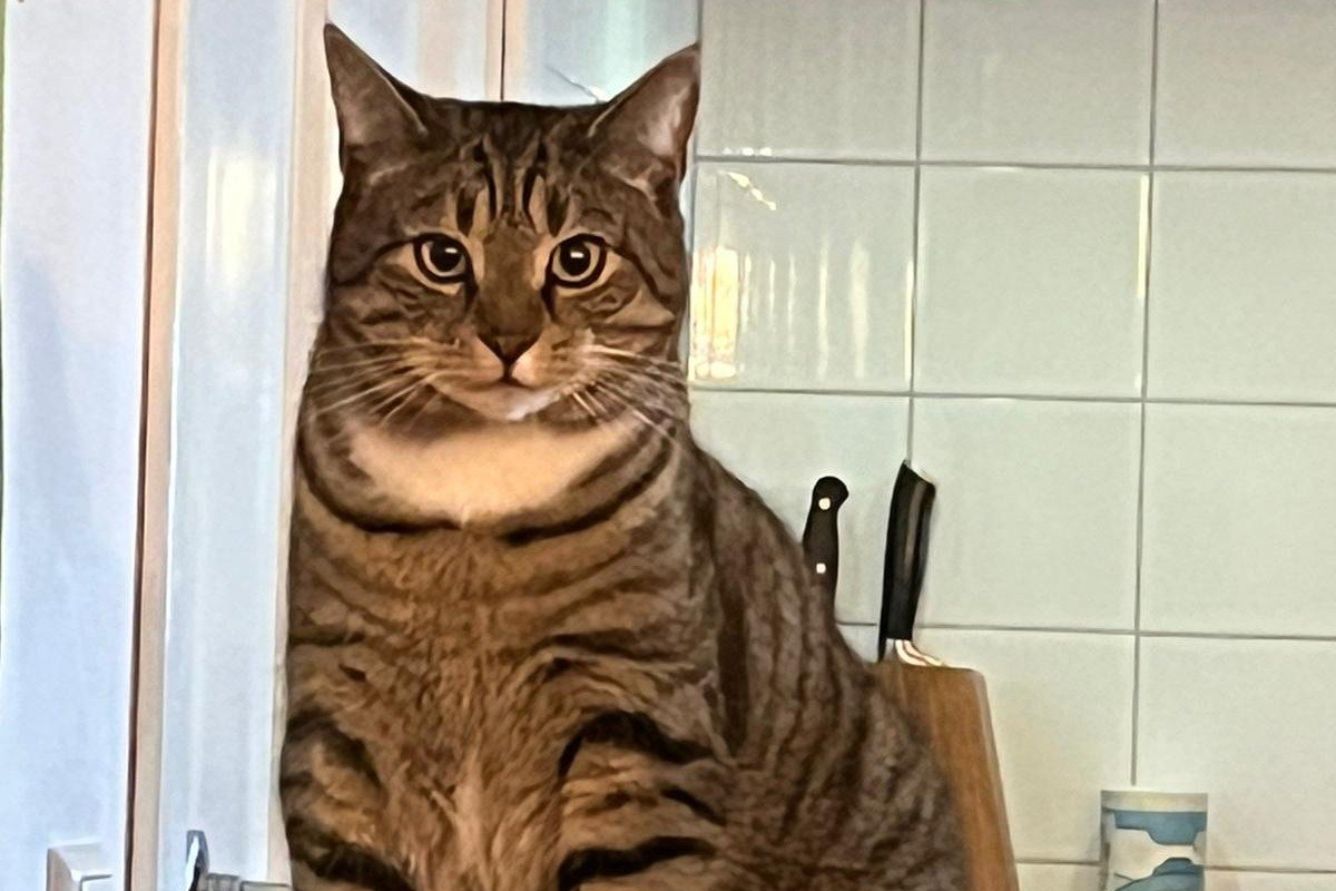 Max