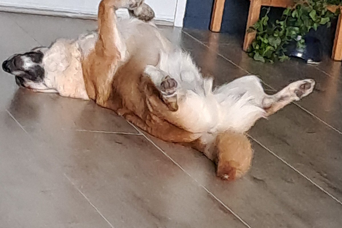 Finn
