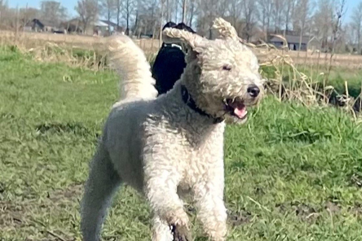 Sam