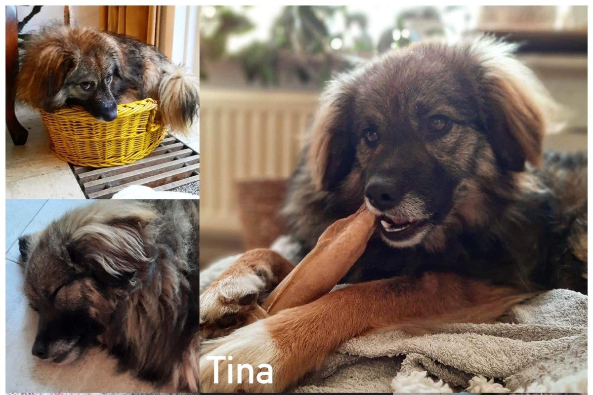 Tina