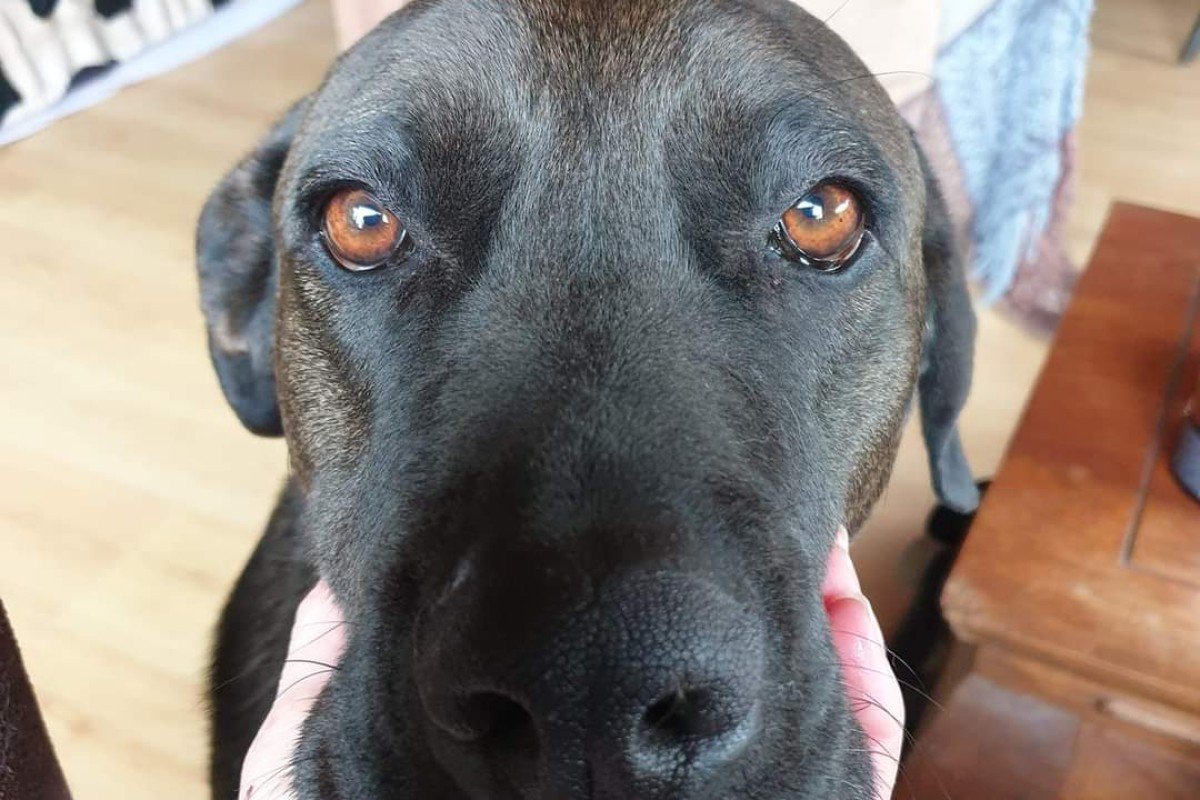 Rosie