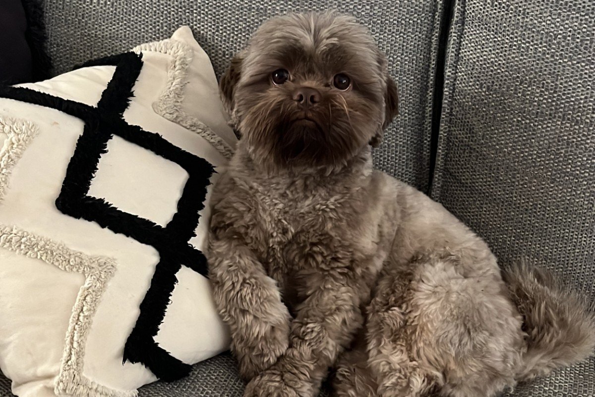 Harvey