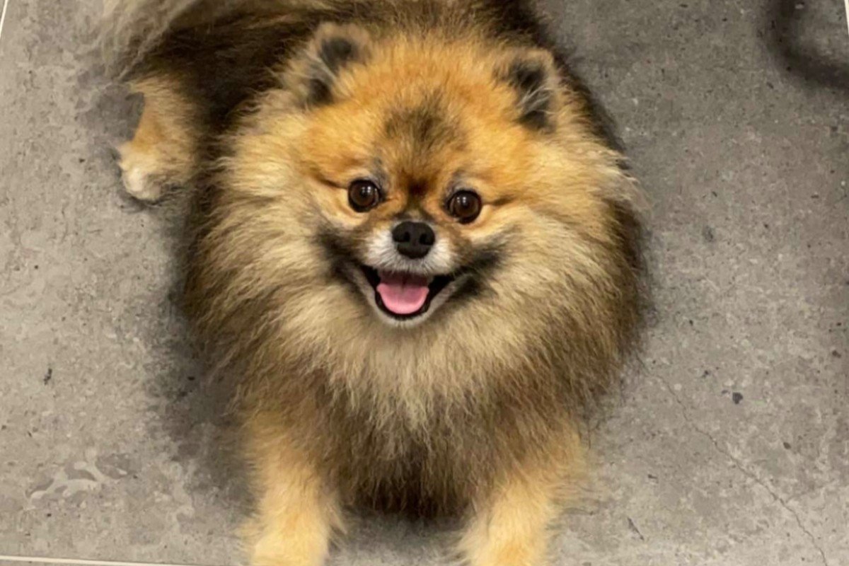 Pablo