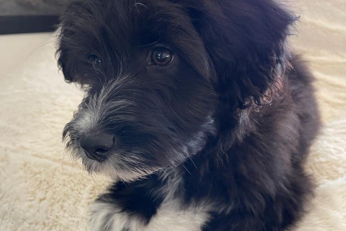 Marley