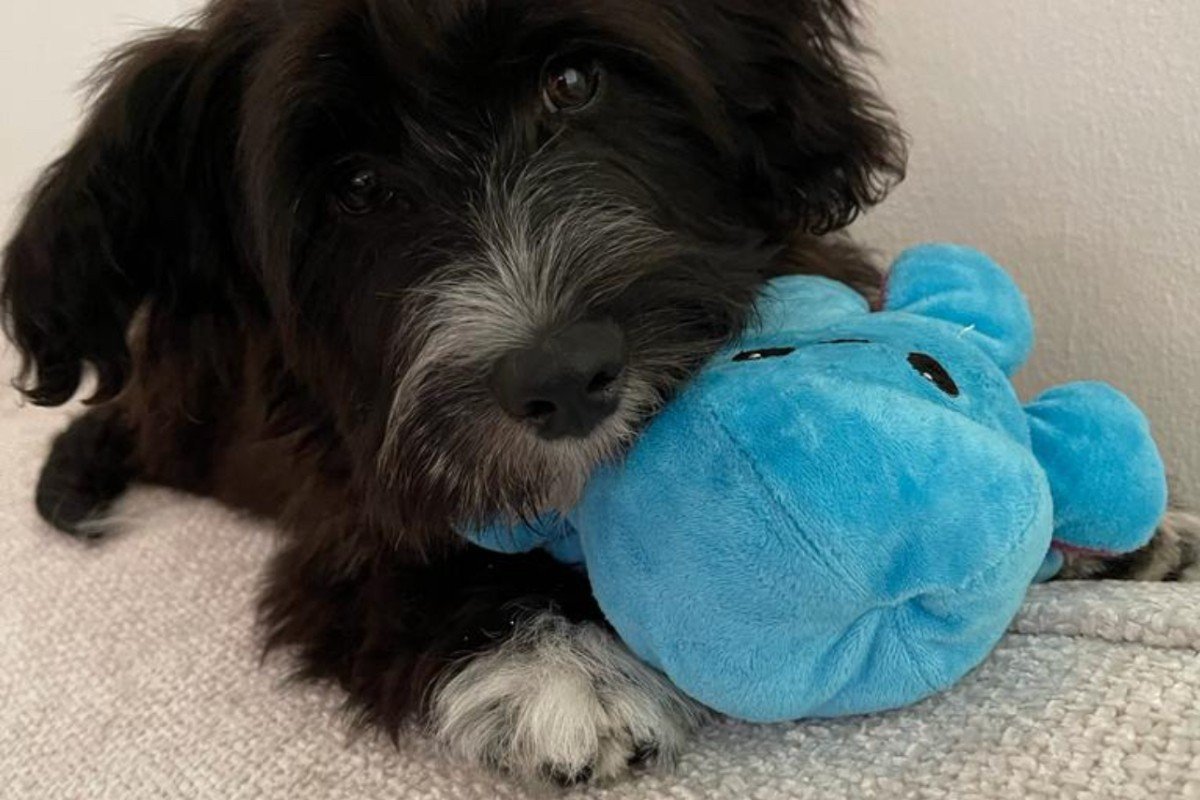 Marley
