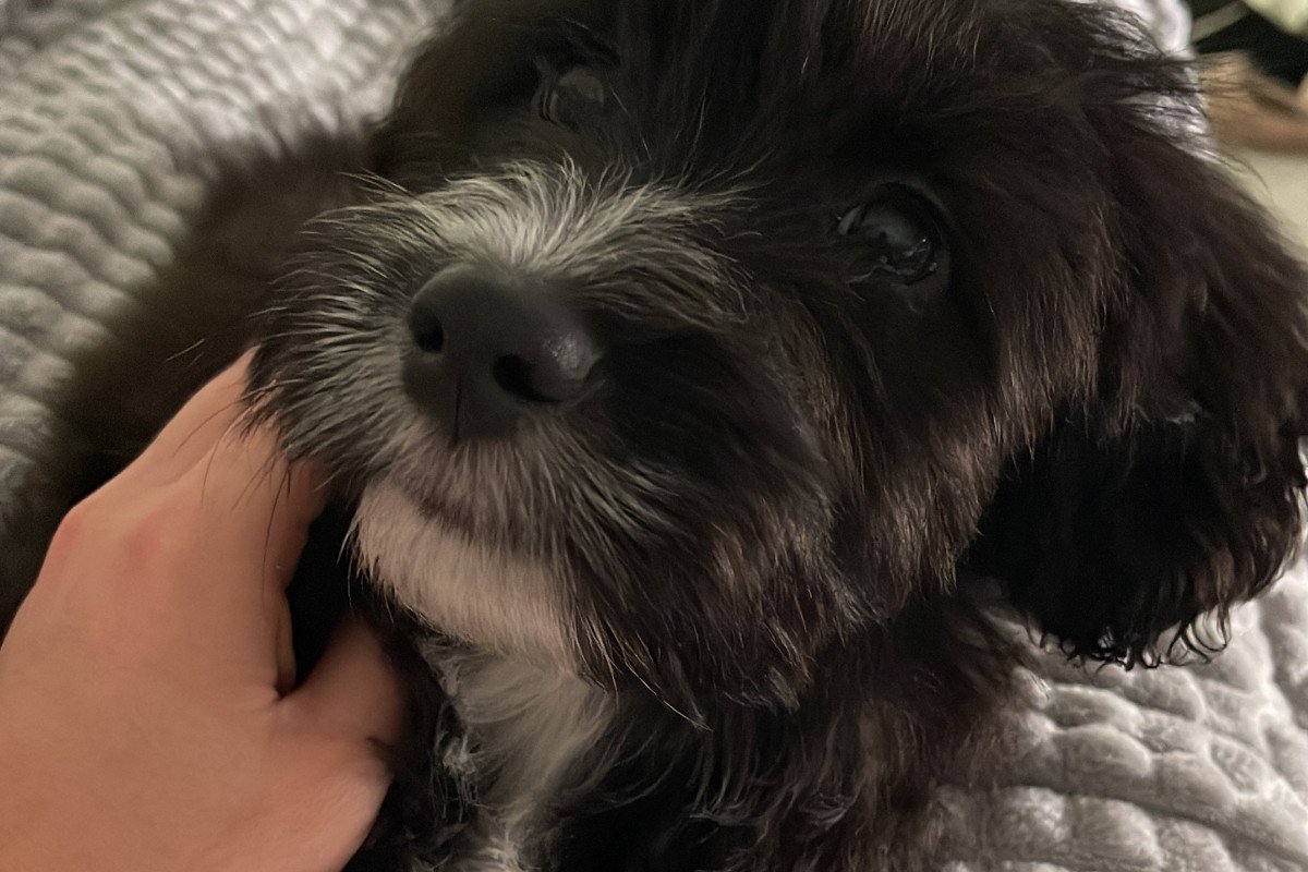 Marley