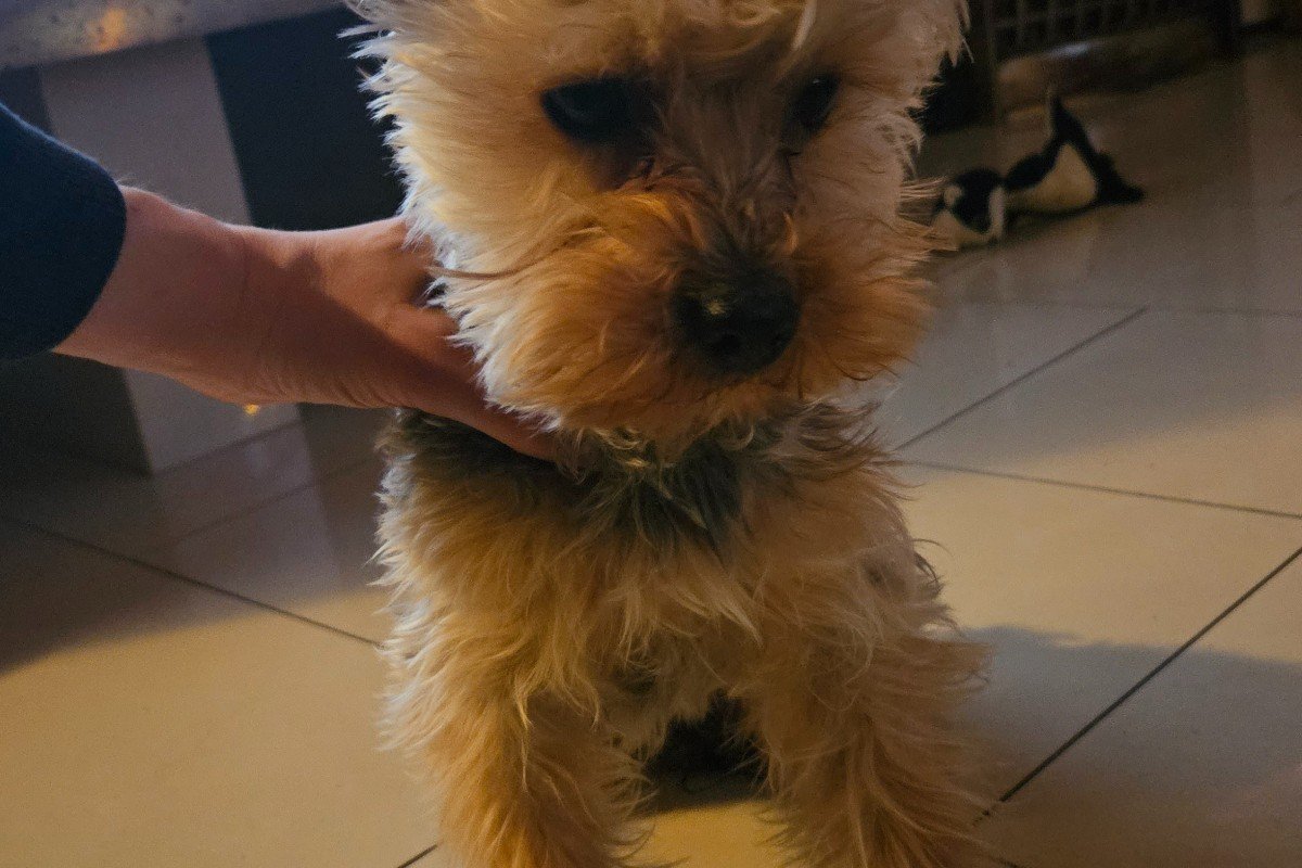 Bo