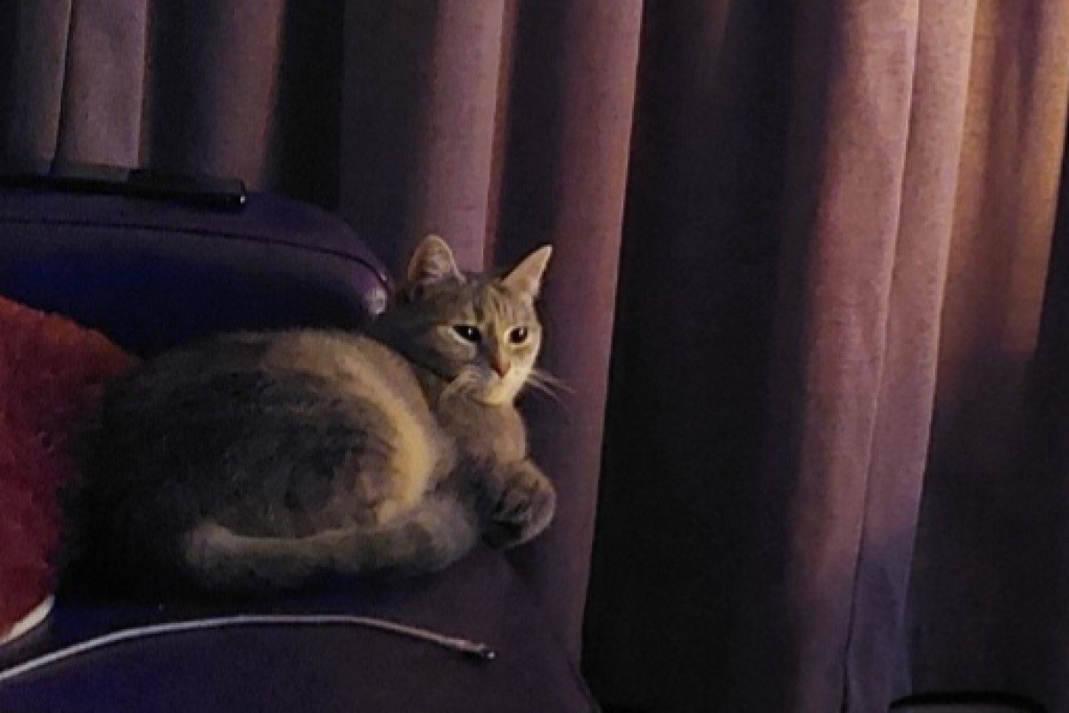 Niña