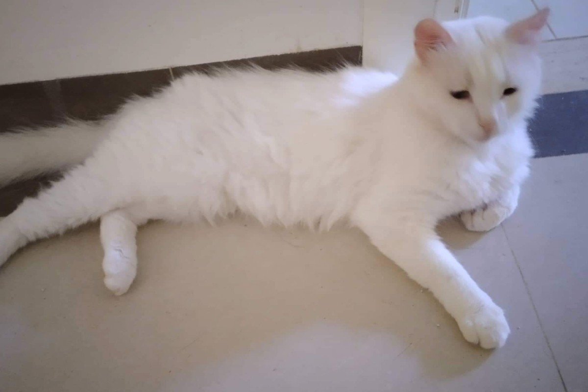 Lily